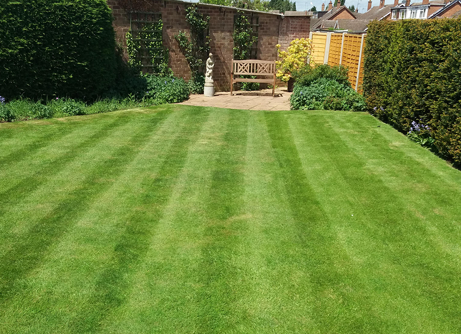 Domestic Gardening Services in Northampton